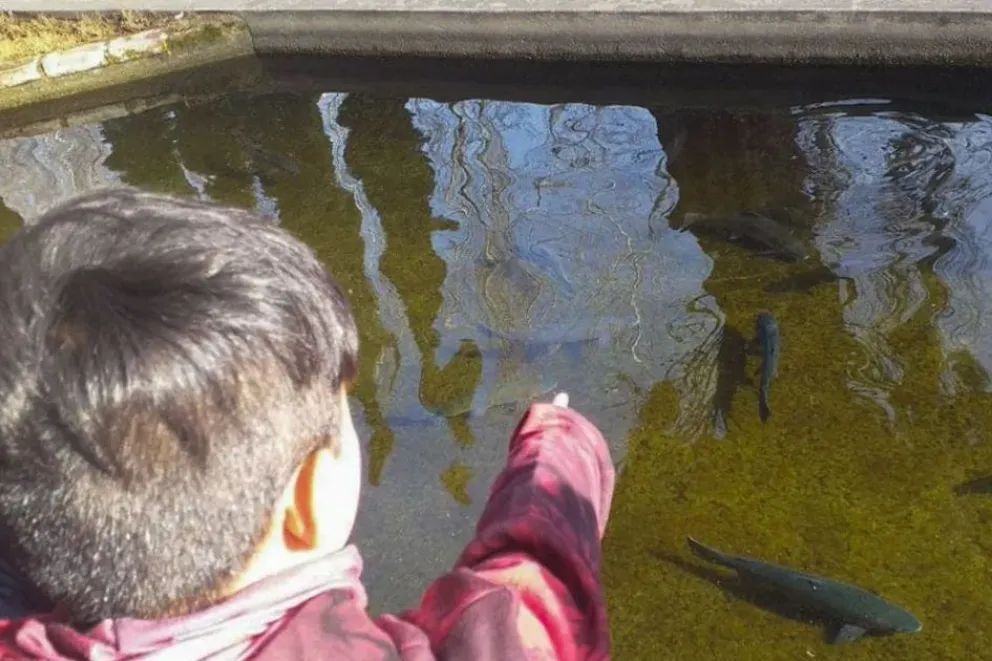 Más de ocho décadas de historia viva en las aguas del Limay