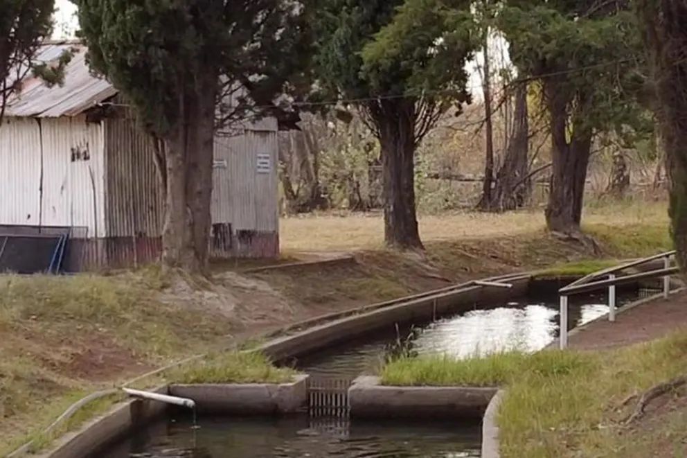 Más de ocho décadas de historia viva en las aguas del Limay