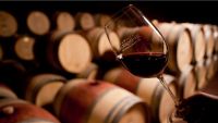 Vacaciones de invierno: vino, gastronomía y dinosaurios en una escapada a Bodega Familia Schroeder