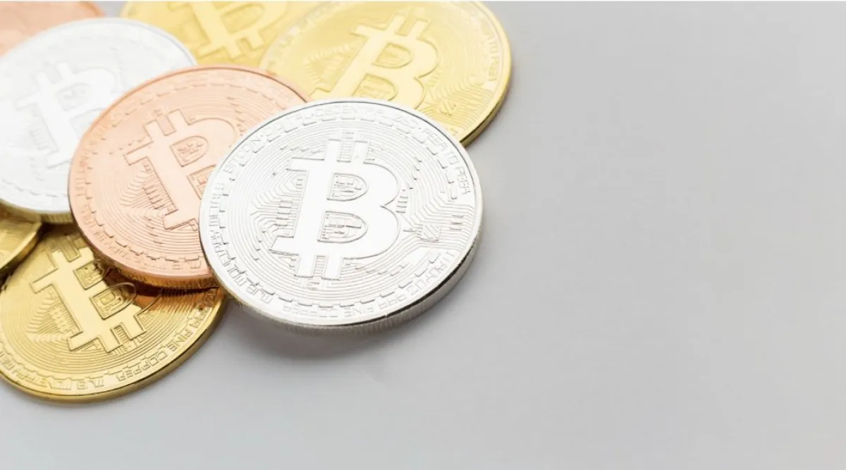 Cotizacion bitcoin dolar (98) 사진