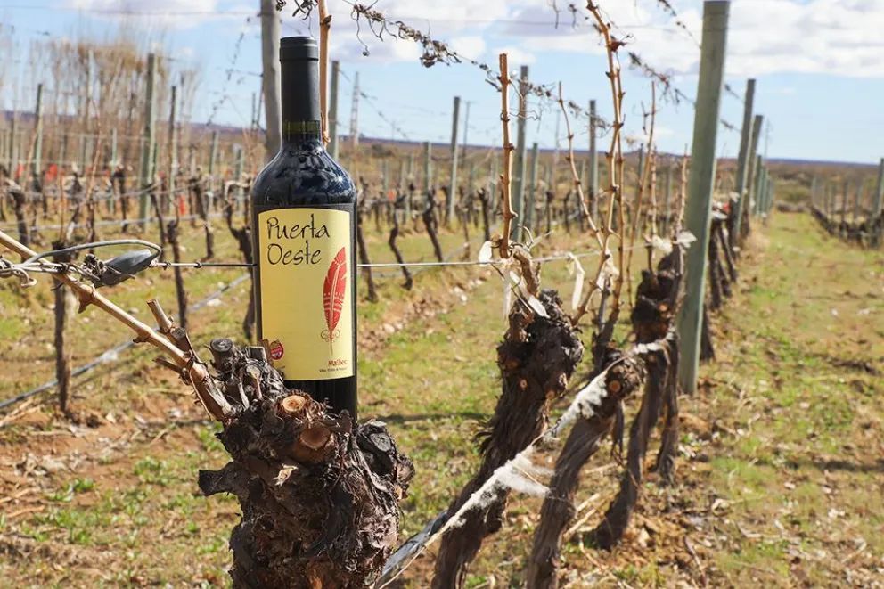 Puerta Oeste convoca a una tarde de vinos, gastronomía y espectáculos