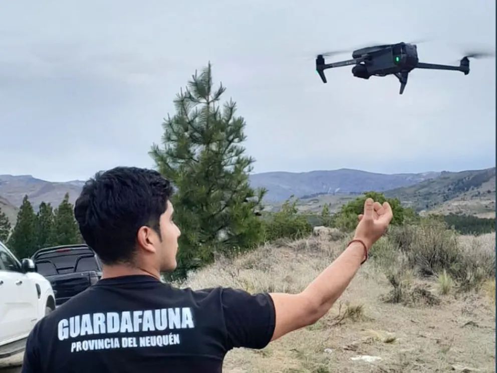 Neuquén moderniza y potencia su sistema de conservación de fauna con tecnología, control y más presencia territorial