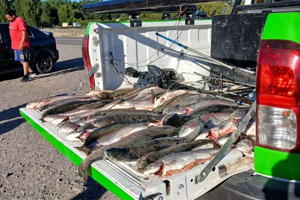 Neuquén moderniza y potencia su sistema de conservación de fauna con tecnología, control y más presencia territorial