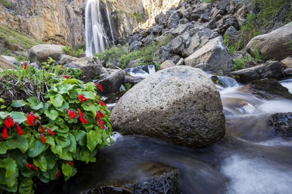 La Fragua: El rincón del Alto Neuquén donde el agua forja la roca