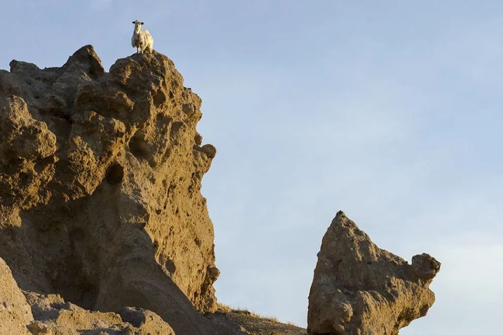 Enero comienza con una excursión al Parque Arqueológico Colomichicó y a Los Bolillos