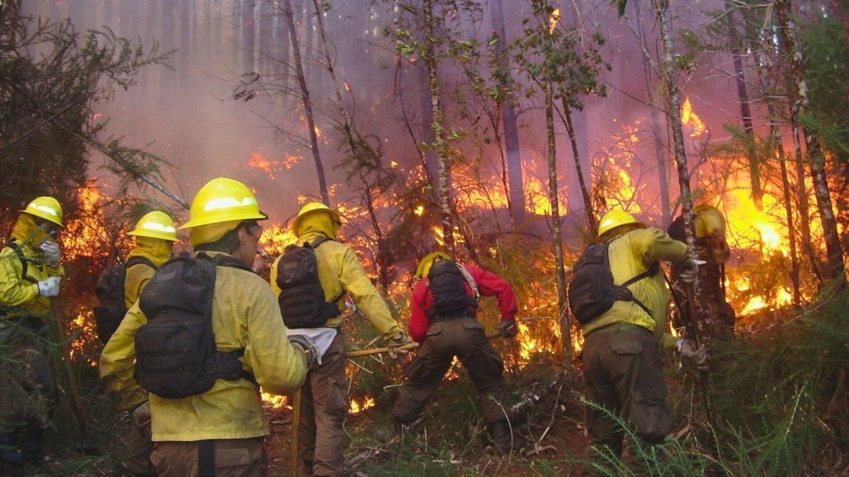 “Hubo intención criminal”: ministro de Seguridad de Chubut sobre los incendios forestales