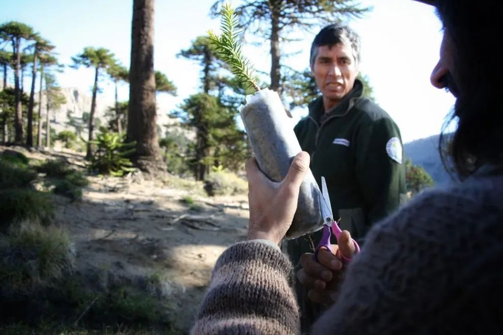 Guardaparques de Neuquén: custodios del territorio y memoria viva de la naturaleza