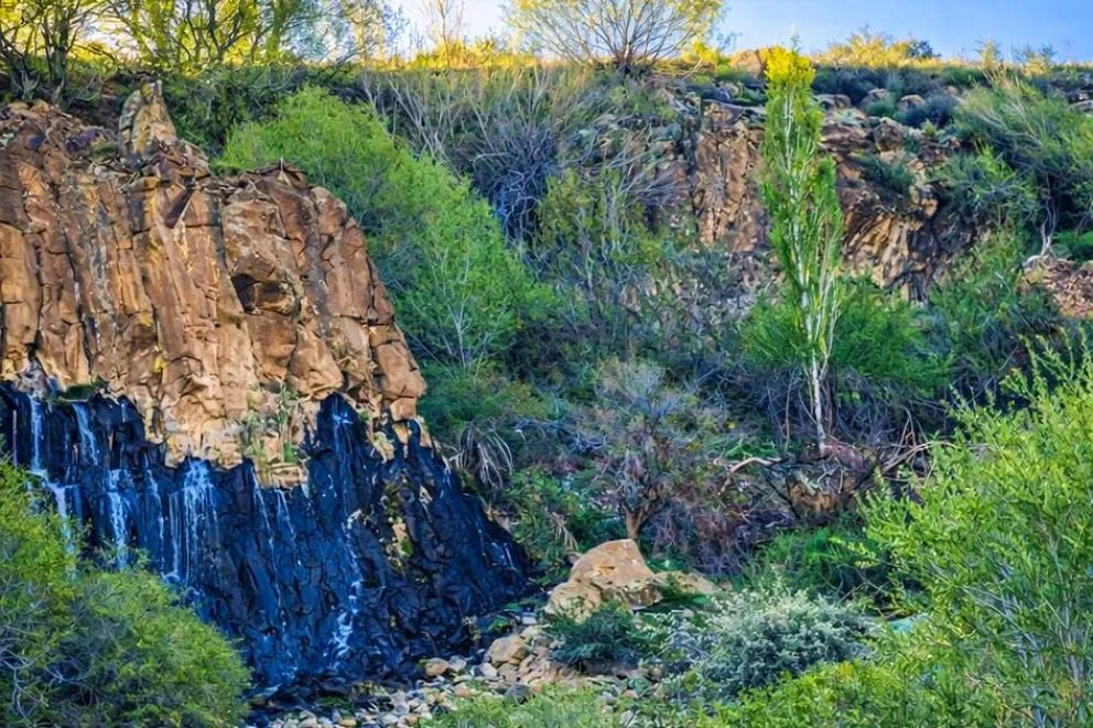Una familia convirtió su proyecto en turismo y trabajo en el Alto Neuquén