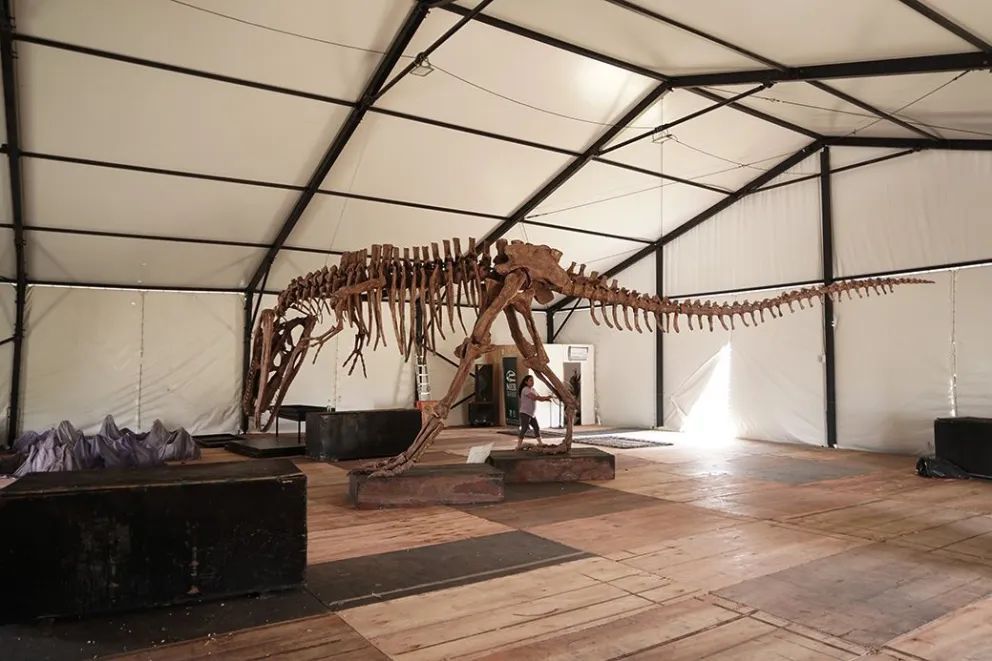 Proponen un viaje en el tiempo en la Fiesta de la Confluencia