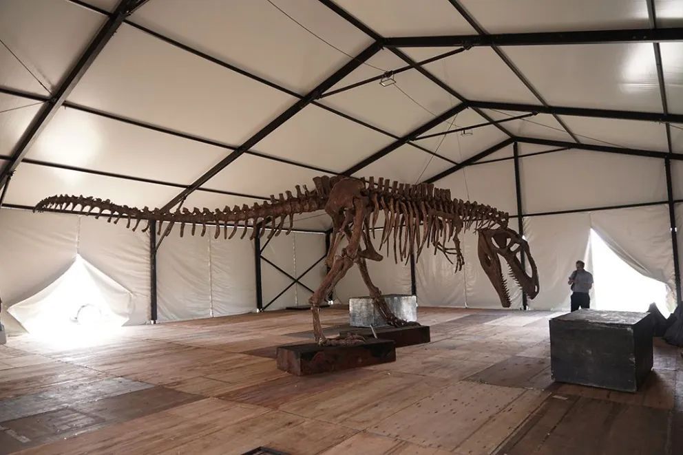 Proponen un viaje en el tiempo en la Fiesta de la Confluencia