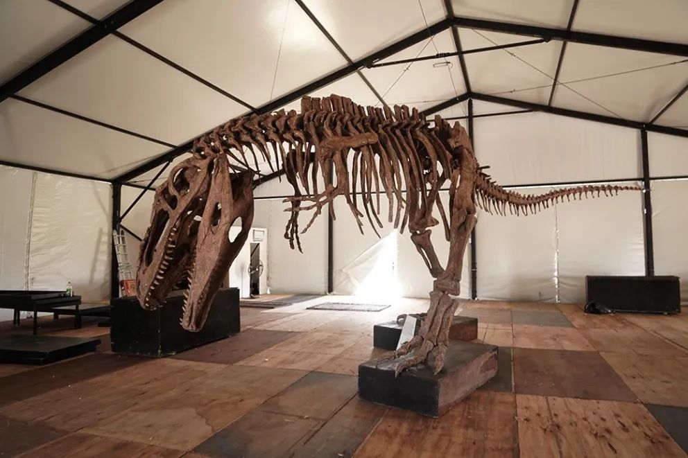 Proponen un viaje en el tiempo en la Fiesta de la Confluencia