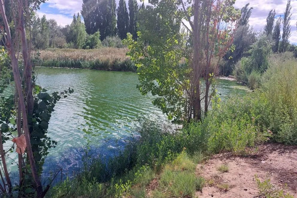 Provincia realizó inspecciones ambientales e hídricas en Senillosa tras la aparición de peces muertos