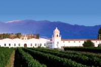 Vinos que tocan el cielo: El Esteco invita a vivir el enoturismo de altura en los Valles Calchaquíes