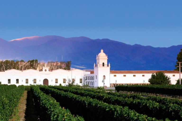 Vinos que tocan el cielo: El Esteco invita a vivir el enoturismo de altura en los Valles Calchaquíes | Neuquén Al Instante
