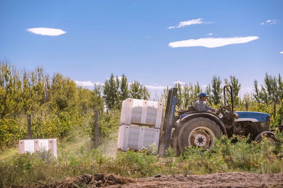 La provincia se fortalece con sus chacras, bodegas y estancias