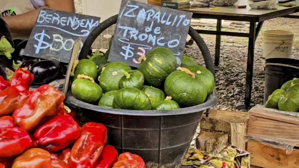 Cómo fue el proceso de habilitación del primer emprendimiento 100% agroturístico neuquino