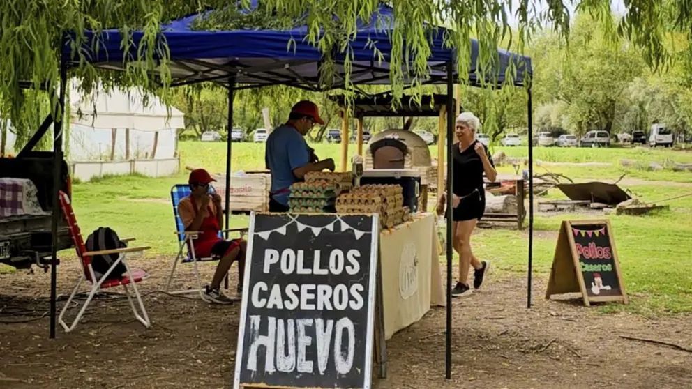 Cómo fue el proceso de habilitación del primer emprendimiento 100% agroturístico neuquino