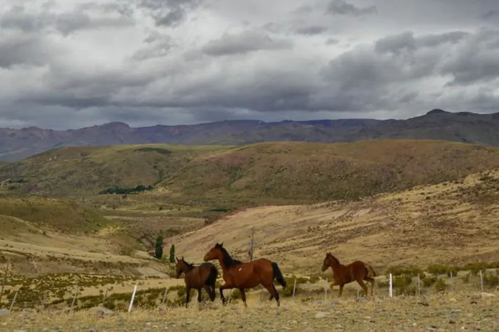 El turismo en el Alto Neuquén está de moda