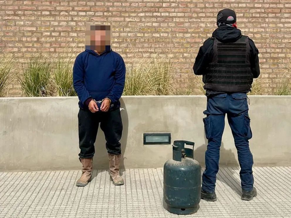 Allanamientos en Neuquén y Centenario: Secyuestran plantas de marihuana de más de dos metros