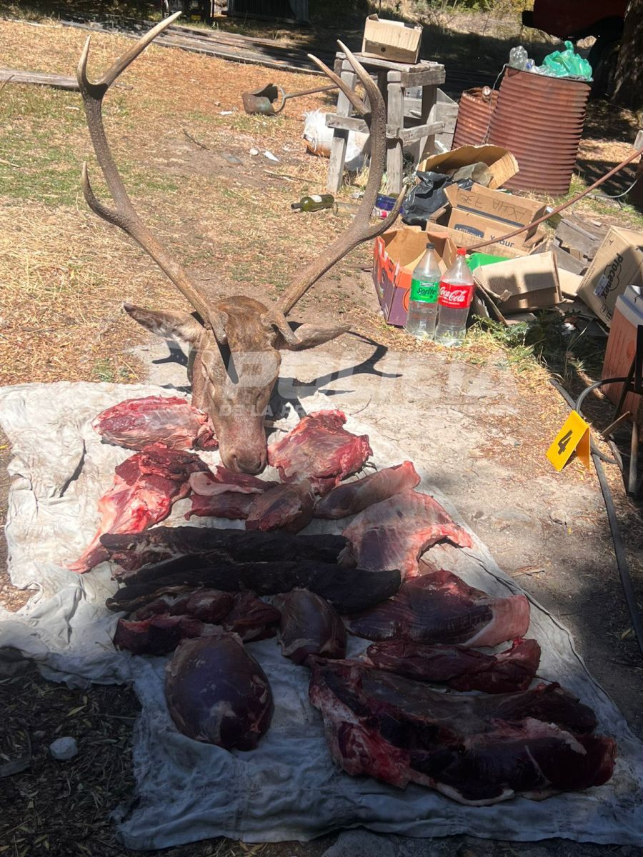 Seis demorados por caza furtiva en Villa Trafull