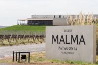 Vinos, música sinfónica, DJs y arte en Bodega Malma