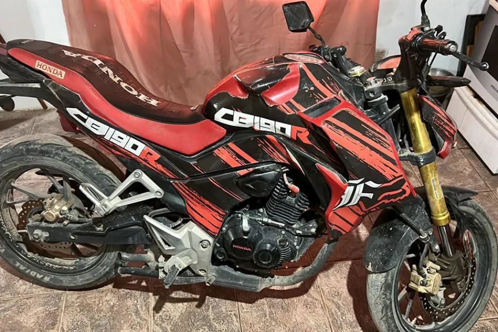 Centenario: La Policía secuestró vehículos, un chaleco antibala y rescató un búho 