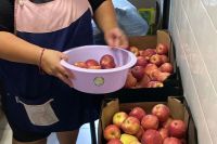 Entregan 200 mil kilos de fruta por mes en 700 escuelas primarias y secundarias