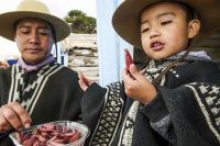 Se reprograma la 36° Fiesta Provincial del Piñón en Caviahue