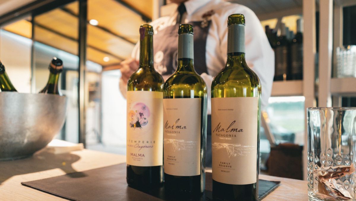 La Vendimia comienza en los viñedos: Bodega Malma presenta la “Apertura Vendimia”