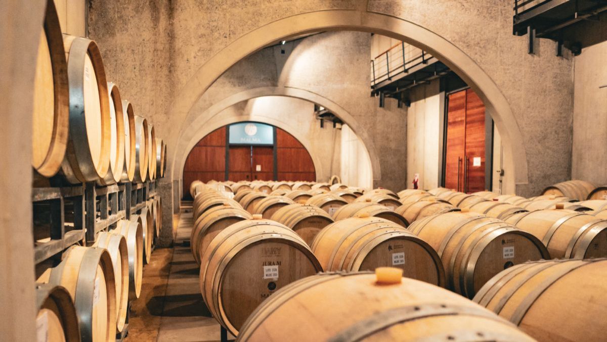 La Vendimia comienza en los viñedos: Bodega Malma presenta la “Apertura Vendimia”