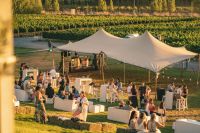 La cosecha entre viñedos: Bodega Malma celebra la “Apertura Vendimia”