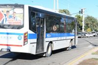 COLE suma más frecuencias con nuevas unidades y se modifican los horarios