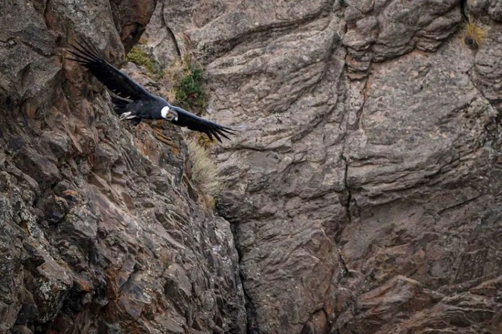 Cajón del Atreuco, donde el agua abrió un camino entre las montañas