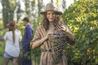 La ruta del vino neuquino se viste de fiesta este fin de semana