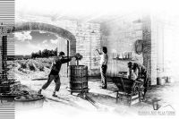 Las primeras viñas neuquinas, un legado de la Cordillera al Vaticano