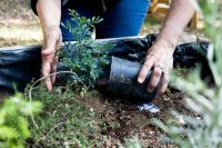 Lanzan nueva propuesta de capacitación para docentes de Huerta