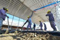 Neuquén avanza con la primera planta de pellets de biomasa en Junín de los Andes