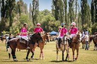La Vendimia Neuquina cierra con polo, vinos y música en Centenario
