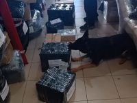 La Policía desplegó un amplio operativo con canes detectores en Neuquén