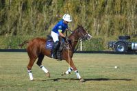 Más de 6.000 personas celebraron la Vendimia Neuquina 2026
