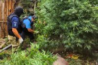 Secuestran armas, drogas y vehículos robados en Neuquén capital