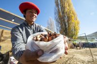Aluminé rinde homenaje al Pehuén con música, tradiciones y propuestas para toda la familia