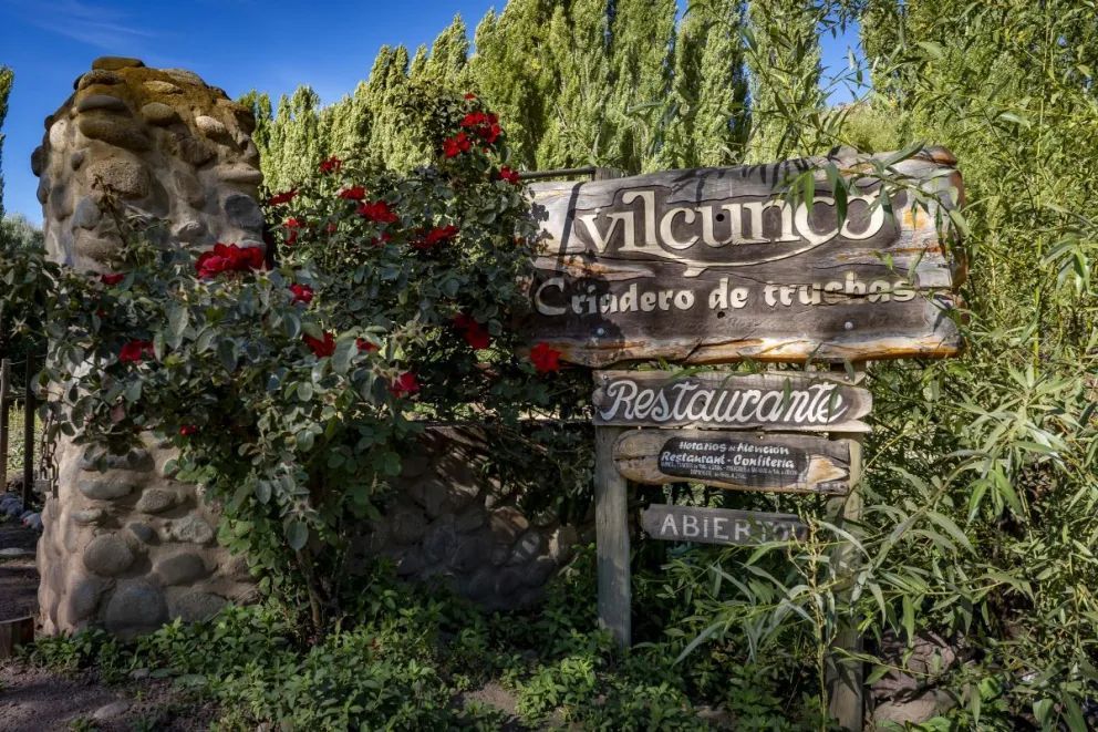 La trucha de Aluminé: identidad, trazabilidad y calidad