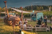 Vendimia Neuquina: Malma despide la cosecha con una celebración de sabores, música y paisaje