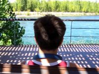 “Billie” busca una familia solidaria