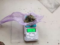 Frustraron el ingreso de marihuana durante una visita en la Unidad 11