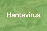 Hantavirus: recomendaciones para evitar el contagio