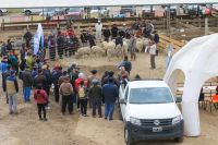 Zapala celebra la 16° Feria Integral de la Producción