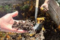 Ambiente reunió a municipios y organizadores por el Mes del Compostaje