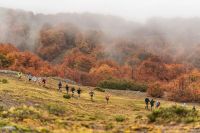 El Patagonia Run generó un gran impacto en el turismo y la economía